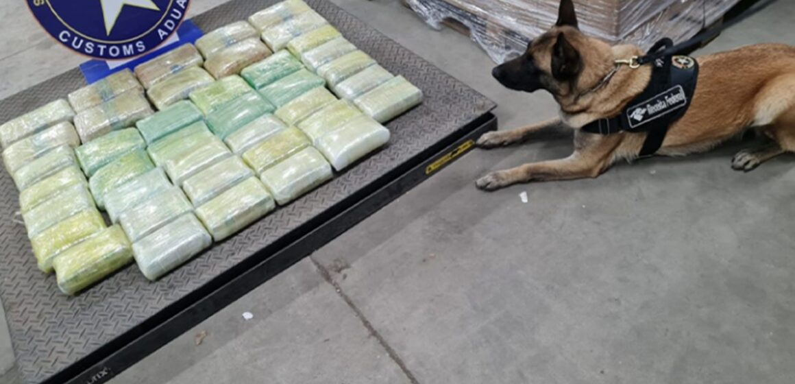 Receita Federal apreende em Marituba 48 kg de ‘super maconha’ dentro de bebedouros em transportadora