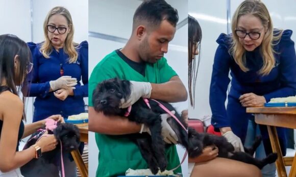 Belém recebe o Pará Pet Show 2025 com serviços gratuitos de saúde animal