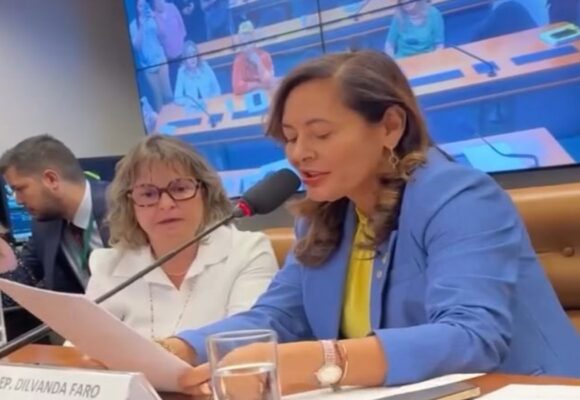 Dilvanda Faro se despede de comissão na Câmara