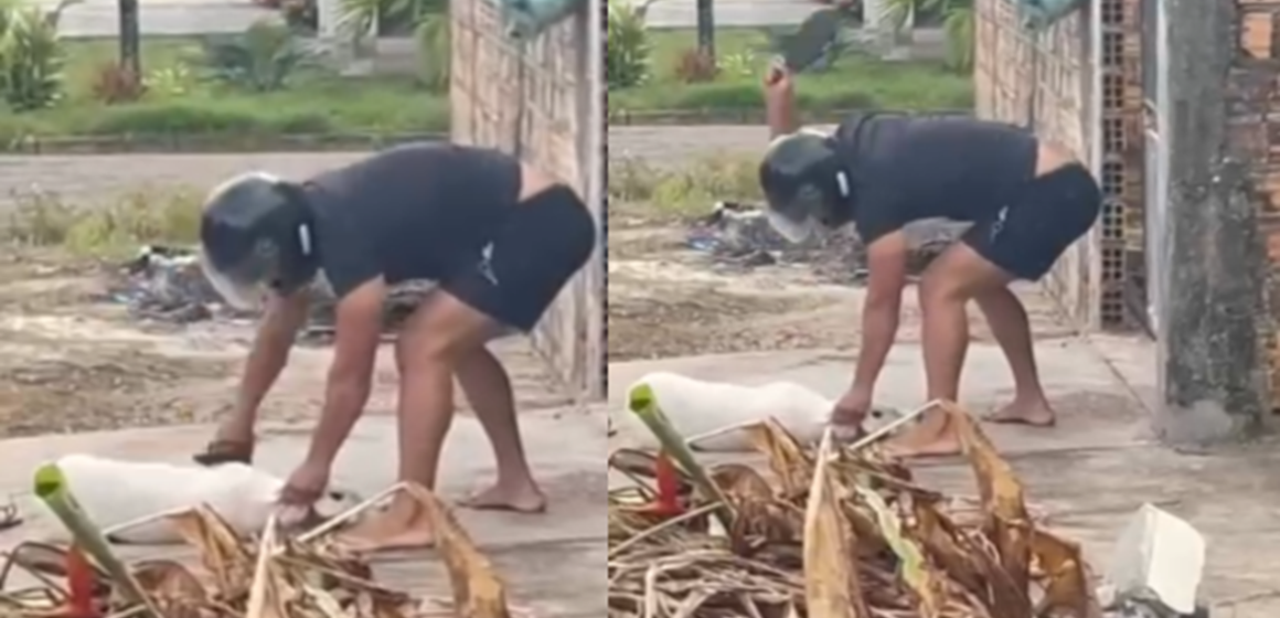 Polícia indicia homem em Castanhal por maus-tratos após agredir cachorro