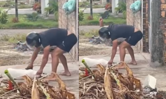 Polícia indicia homem em Castanhal por maus-tratos após agredir cachorro