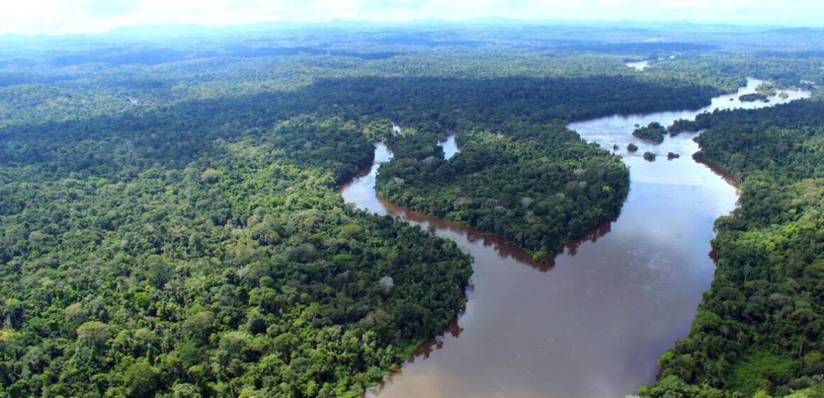Conferência Estadual de Meio Ambiente do Pará discute emergência climática em Belém