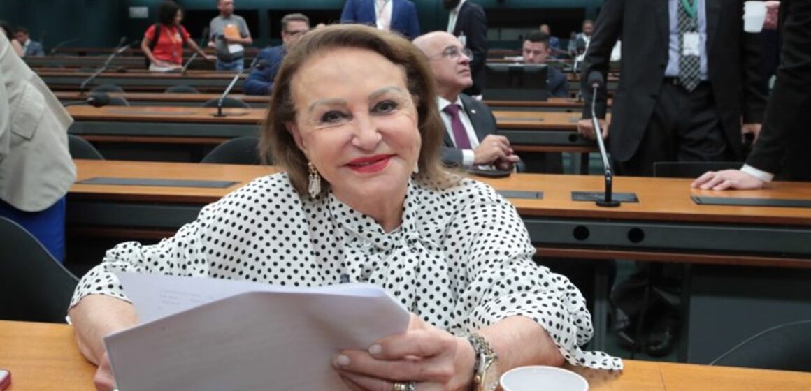 Elcione Barbalho é eleita presidente da Comissão de Meio Ambiente da Câmara
