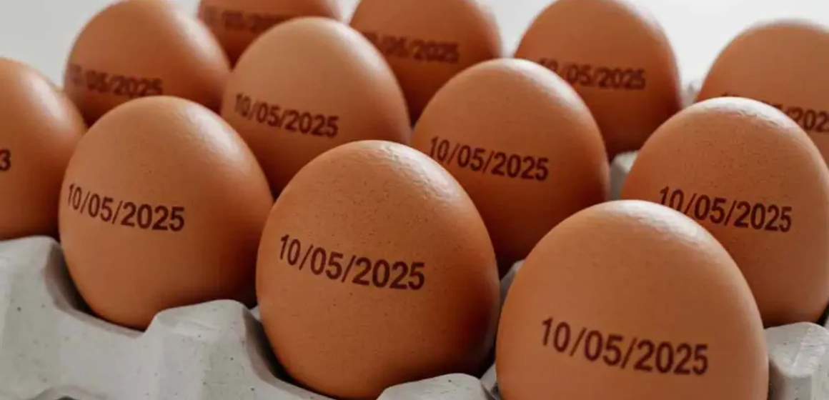 País tem recorde na produção de ovos, abate de bovinos, frango e porco