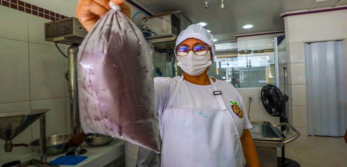 Projeto de lei sobre qualidade e comercialização do açaí no Pará é aprovado pela Alepa