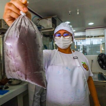 Projeto de lei sobre qualidade e comercialização do açaí no Pará é aprovado pela Alepa