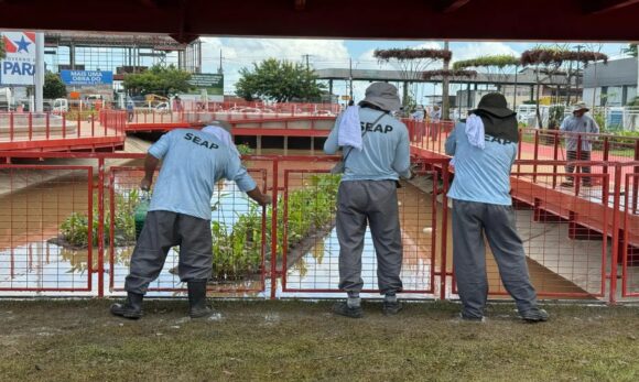 20250401193558-GC00065857-F00230869E Área do Parque Linear da Nova Doca, em Belém, recebe limpeza feita por custodiados