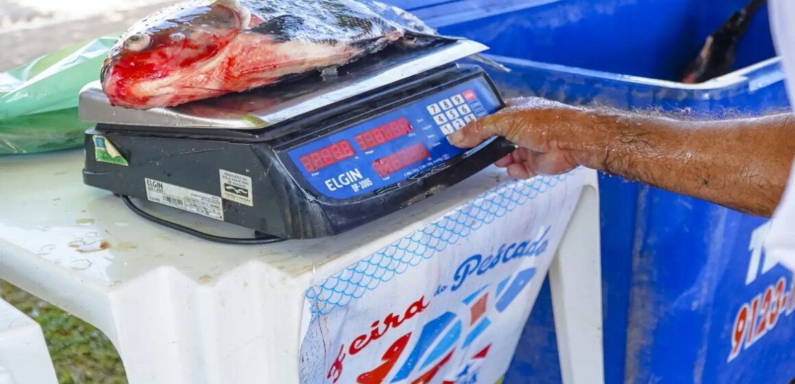 Em Santarém, Feira do Pescado 2025 disponibiliza 25 toneladas de peixe a preços acessíveis