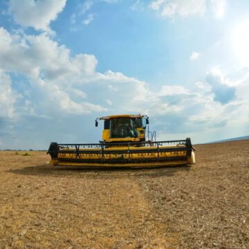 No Pará, exportações de produtos do agronegócio cresceram quase 14% no primeiro trimestre