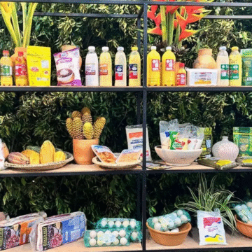 Adepará apresenta no Sebrae produtos com potencial para ganhar mercados