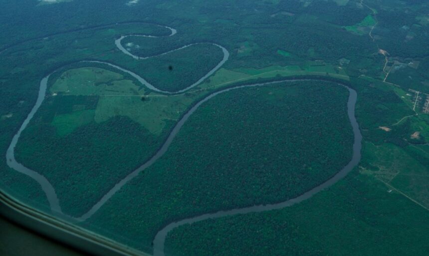Pará regulamenta Cota de Proteção Ambiental e fortalece gestão de Unidades de Conservação