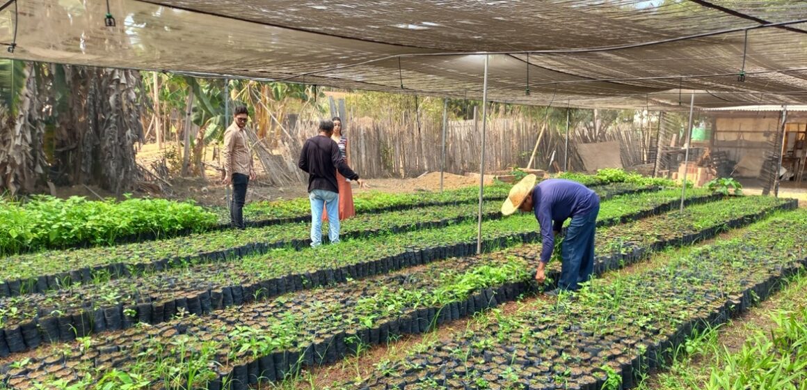 Programa Paricá lança chamada para Soluções Locais com mais de R$ 230 mil em financiamentos