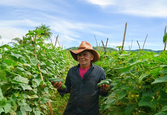 Agricultura familiar é fortalecida pela prefeitura de Curionópolis