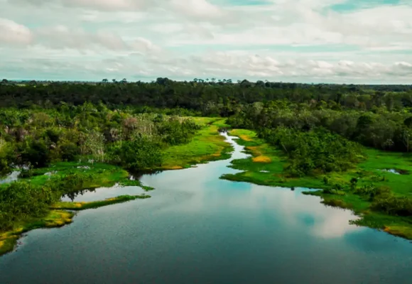 Área de proteção terá trilha ecológica e turismo de base comunitária