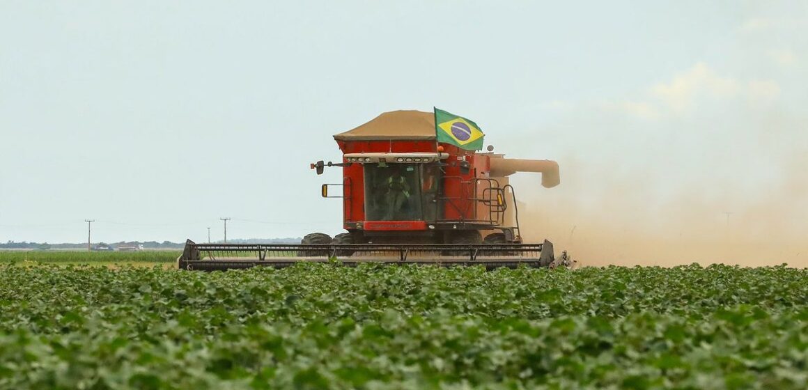 Setor do agronegócio emprega 26% da população brasileira e impulsiona o aumento dos salários