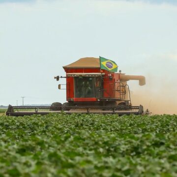 Setor do agronegócio emprega 26% da população brasileira e impulsiona o aumento dos salários