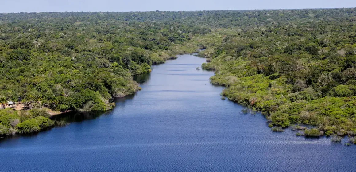 Nova etapa do projeto Restaura Amazônia é lançado