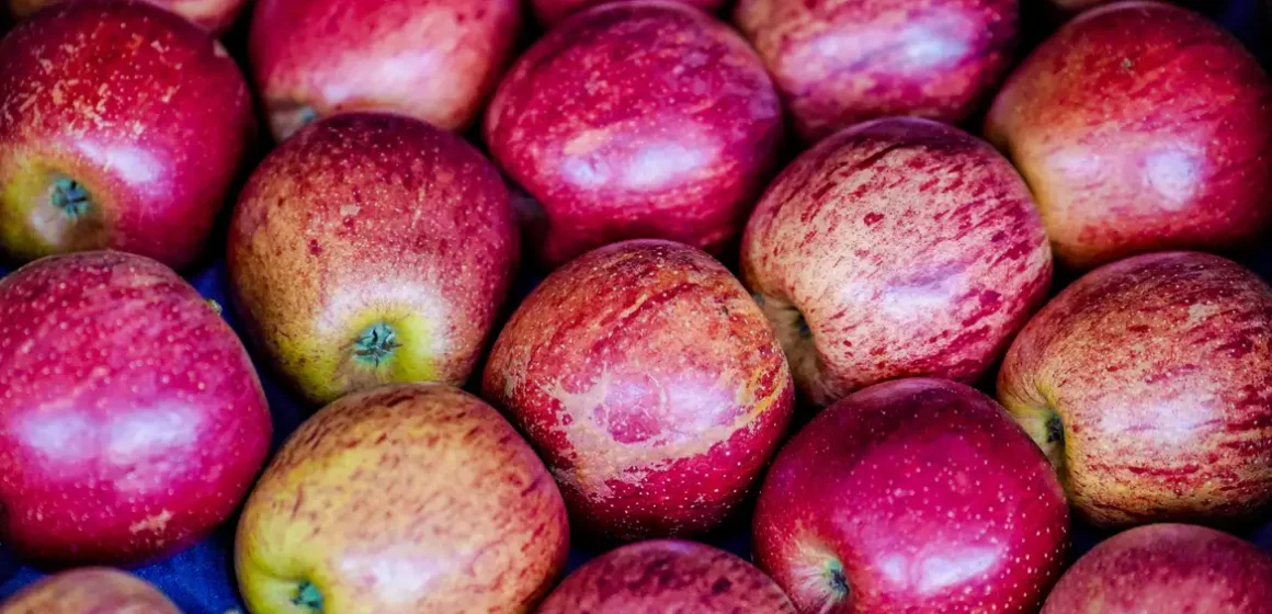 Exportação de frutas cresceu 26% no primeiro trimestre de 2025