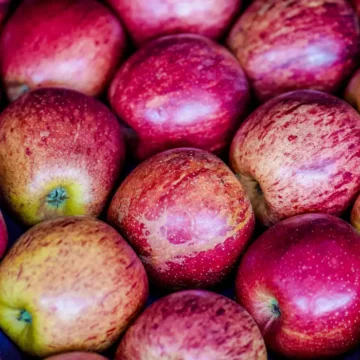 Exportação de frutas cresceu 26% no primeiro trimestre de 2025