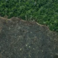Projeto de lei “implode” licenciamento ambiental, diz especialista