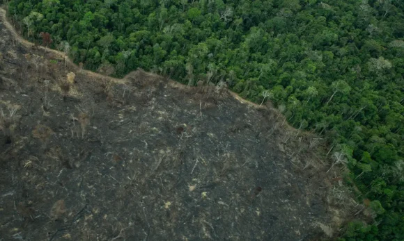 Projeto de lei “implode” licenciamento ambiental, diz especialista