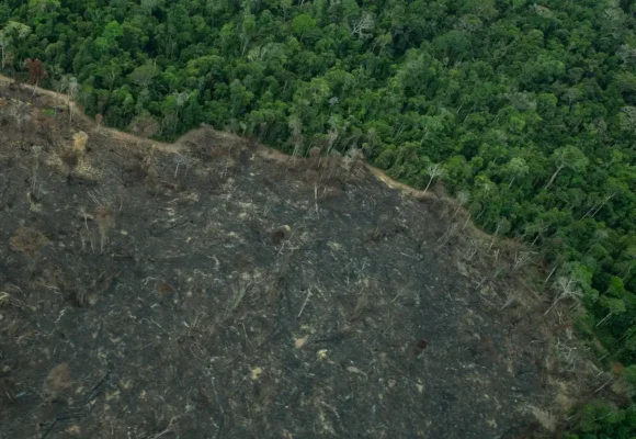 Projeto de lei “implode” licenciamento ambiental, diz especialista