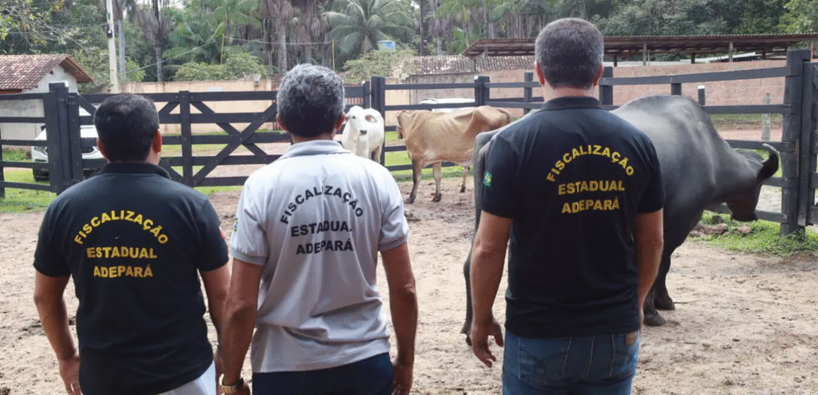 Adepará inicia campanha de atualização de cadastro de animais no Estado