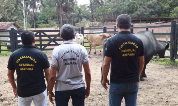 Adepará inicia campanha de atualização de cadastro de animais no Estado