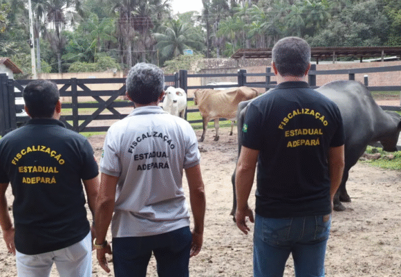 Adepará inicia campanha de atualização de cadastro de animais no Estado