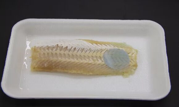 Embrapa desenvolve embalagem que muda de cor para avisar se peixe está estragado