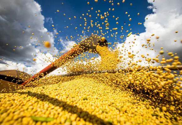 No primeiro trimestre deste ano, o Pará já exportou US$ 110 milhões em soja