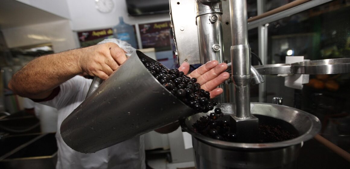 Consumidores já encontraram o litro do açaí custando até R$ 60 em Belém
