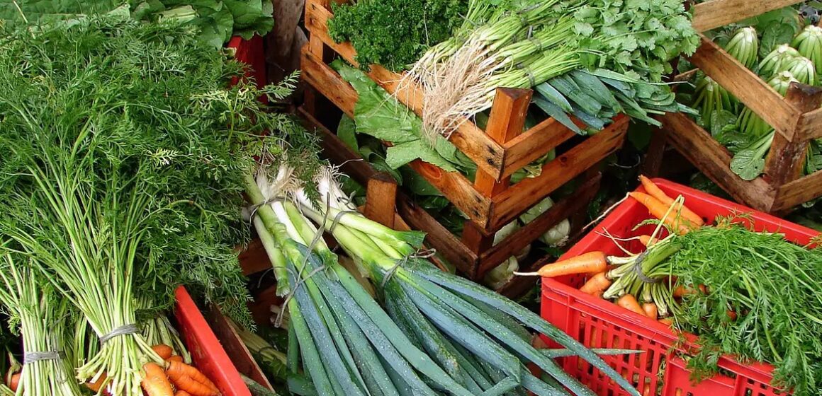 Cesta básica ideal consome mais de 20% da renda média dos brasileiros