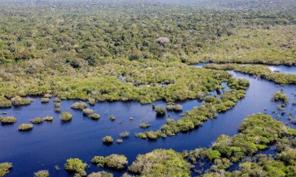 Desmatamento cai 32,4% no Brasil em 2024, aponta relatório