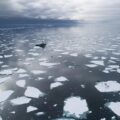 Limite de 1,5°C já não evita colapso de geleiras e elevação do mar, alerta estudo