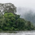 Conselho Gestor da Floresta do Trombetas é renovado com maior participação social