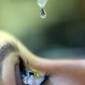 SUS amplia exames de glaucoma, mas desigualdade regional preocupa especialistas