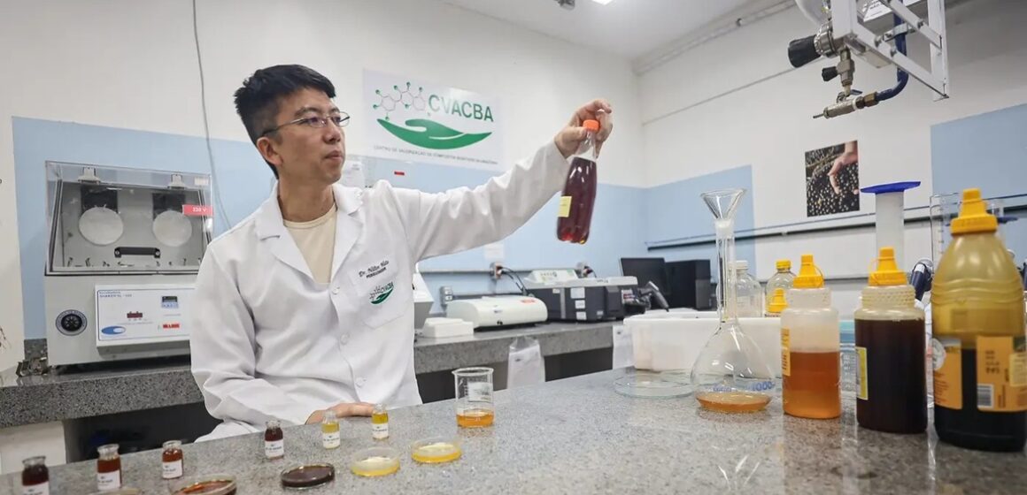 Pesquisa revela propriedades medicinais do mel de açaí e reforça uso sustentável da biodiversidade amazônica