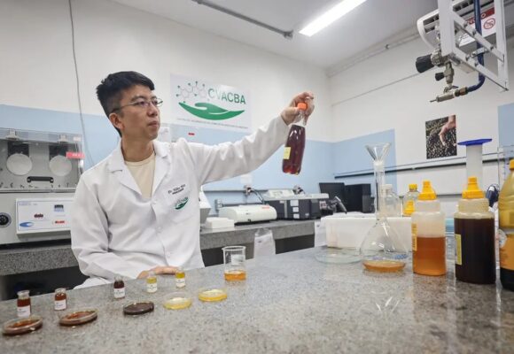 Pesquisa revela propriedades medicinais do mel de açaí e reforça uso sustentável da biodiversidade amazônica