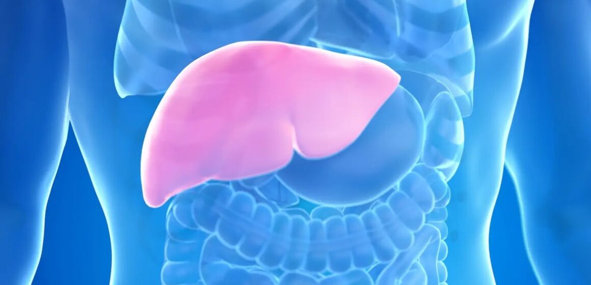 Hepatites B e C são principais causas de câncer de fígado, alerta especialista