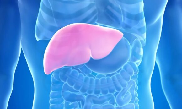 Hepatites B e C são principais causas de câncer de fígado, alerta especialista