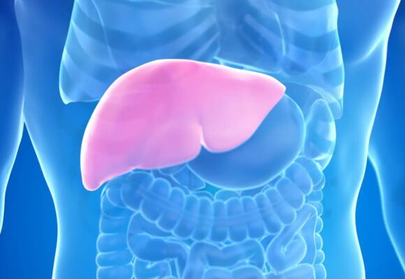 Hepatites B e C são principais causas de câncer de fígado, alerta especialista