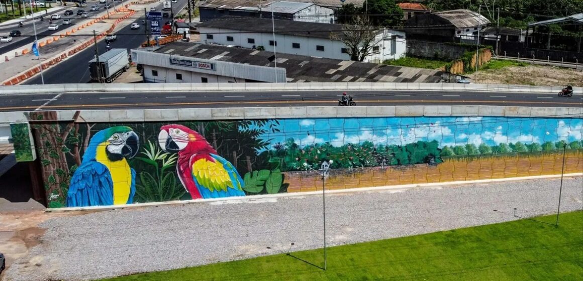 WhatsApp Image 2025-05-28 at 19.46.12 Viadutos na RMB ganham cores da Amazônia em intervenções artísticas