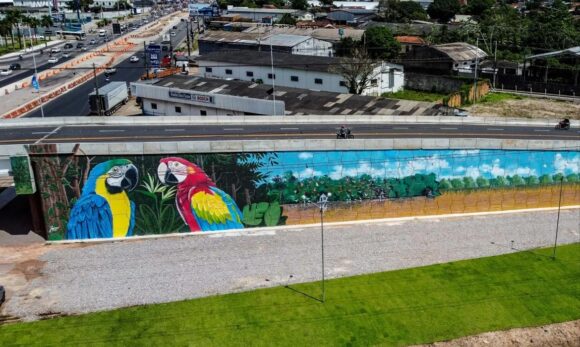 Viadutos na RMB ganham cores da Amazônia em intervenções artísticas