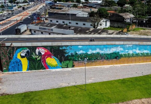 Viadutos na RMB ganham cores da Amazônia em intervenções artísticas