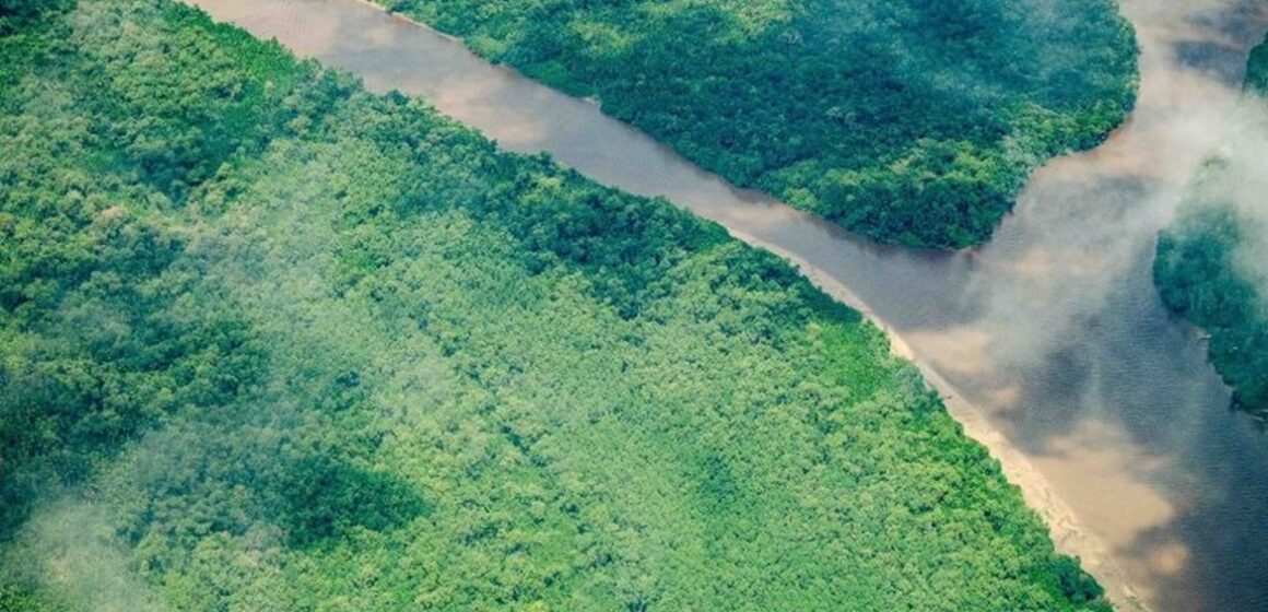 Pará reduz em 19% alertas de desmatamento na Amazônia