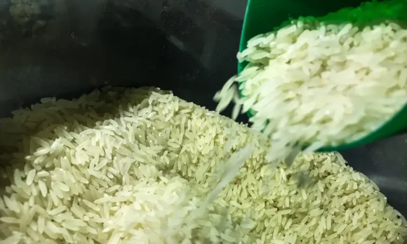 Valor do arroz atinge o nível mais baixo em três anos