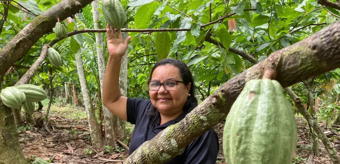 Investimentos são atraídos para a Amazônia com o potencial para a bioeconomia