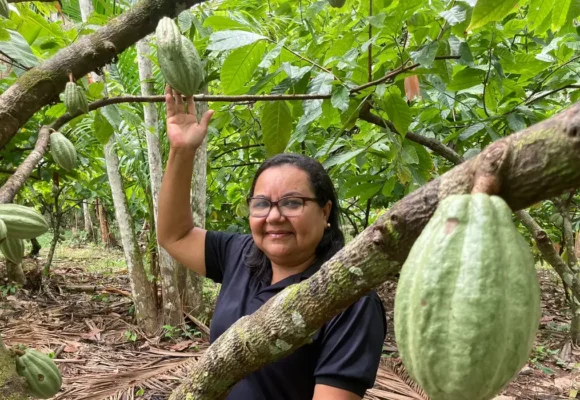 Investimentos são atraídos para a Amazônia com o potencial para a bioeconomia