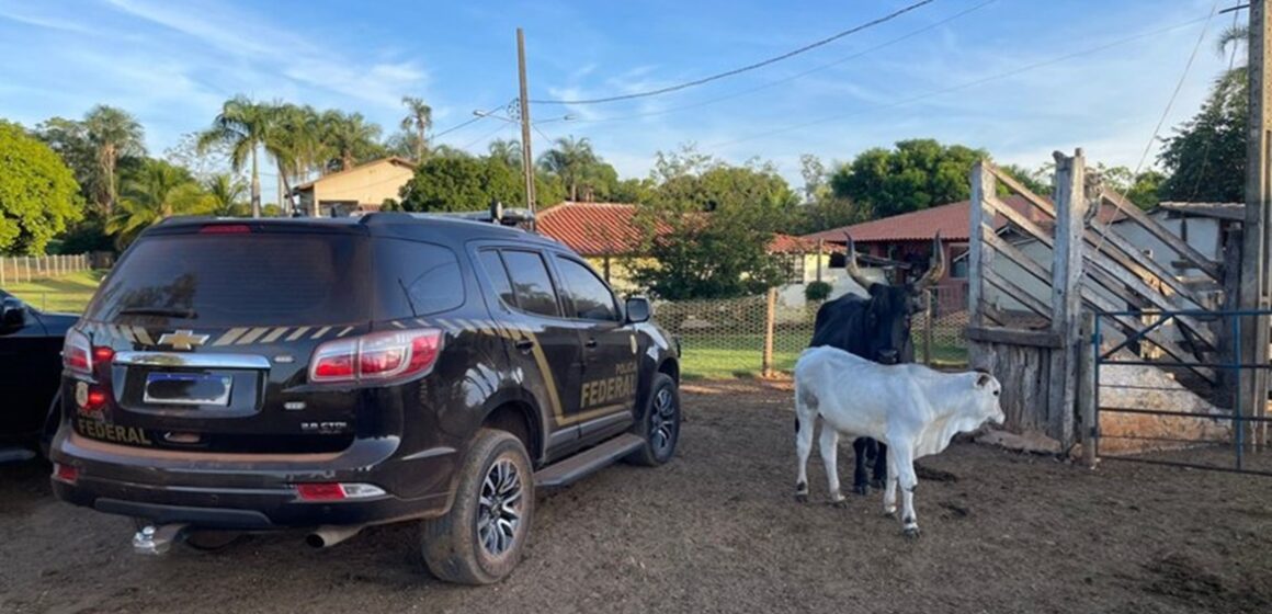 Operação “Imperium Fictum” no Pará combate fraudes fundiárias, grilagem e lavagem de dinheiro